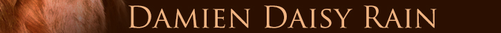 Damien Daisy Rain irsk setr